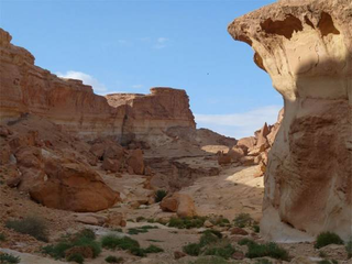 Illustration for article titled Star Wars on Earth Should Be Your Next Vacation